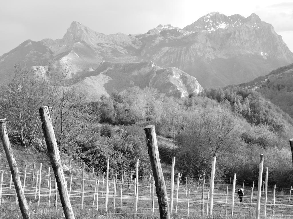 فندق Rifugio Alpi Apuane Careggine المظهر الخارجي الصورة