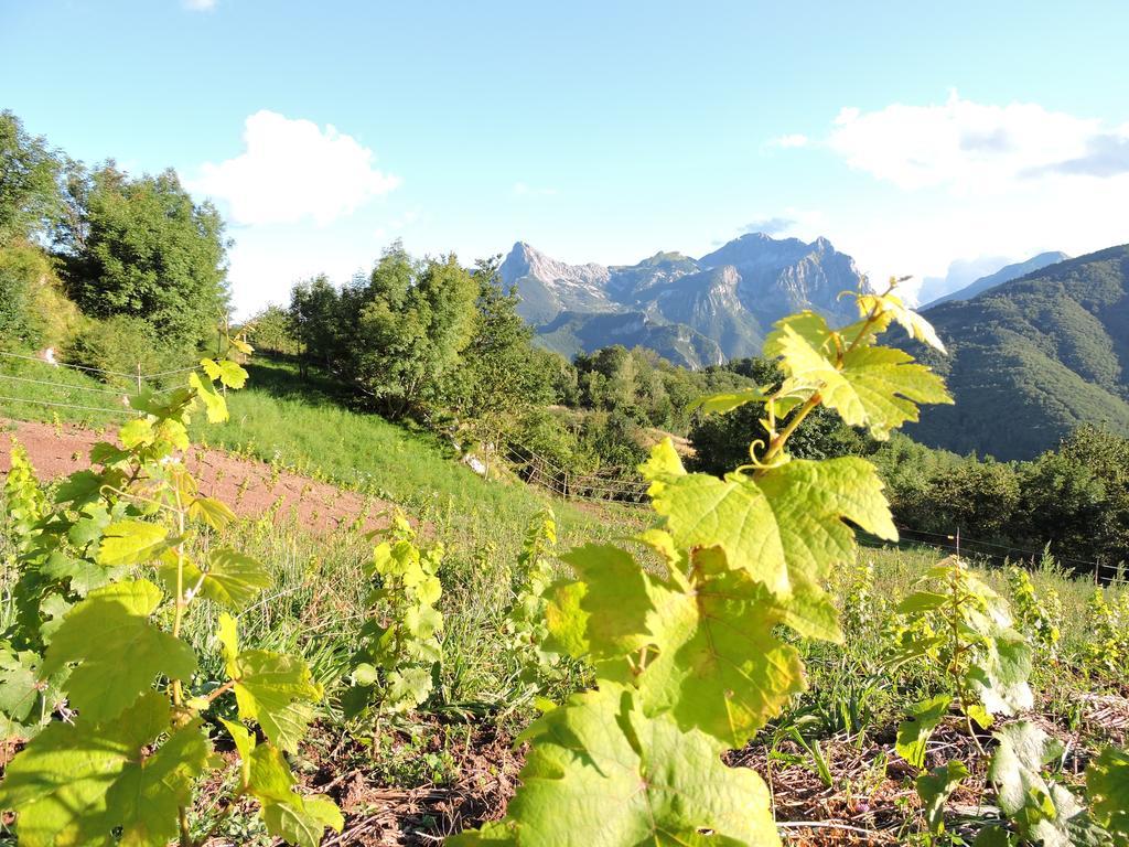 فندق Rifugio Alpi Apuane Careggine المظهر الخارجي الصورة