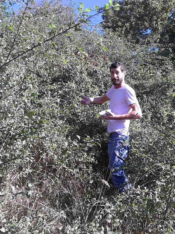 فندق Rifugio Alpi Apuane Careggine المظهر الخارجي الصورة